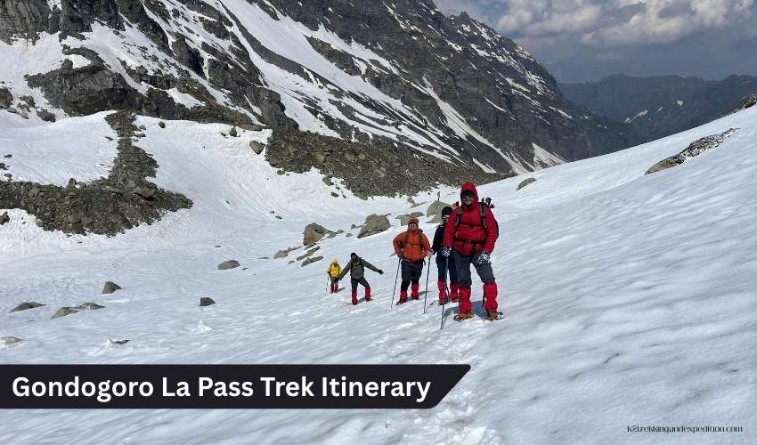 Gondogoro La Trek: K2 Base Camp and the Epic Karakoram Crossing in Pakistan