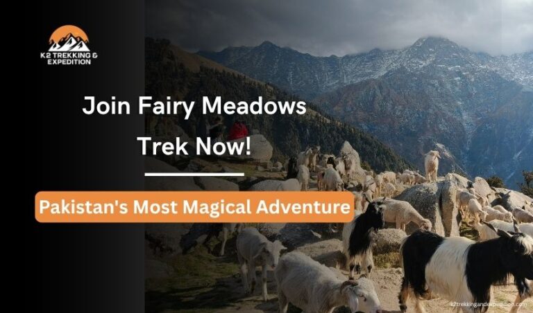 Fairy Meadows Trek Visit Fairy Meadows and Nanga Parbat Base Camp in Northern Pakistan