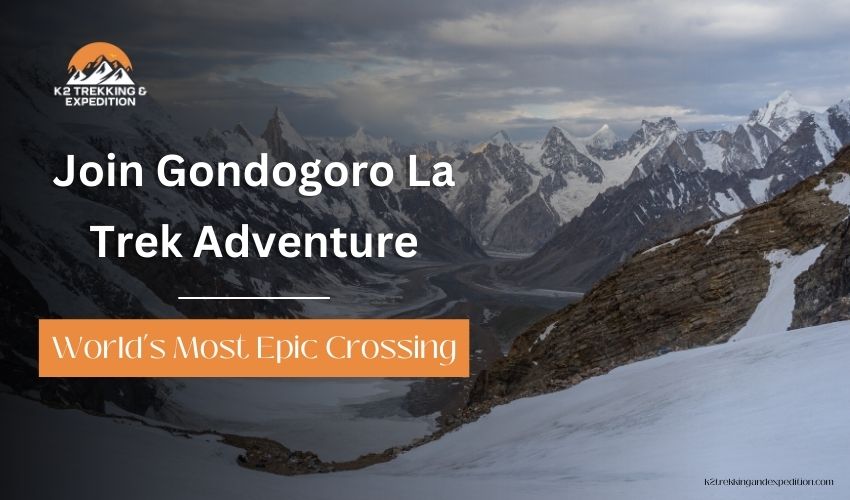 Gondogoro La Trek: K2 Base Camp and the Epic Karakoram Crossing in Pakistan