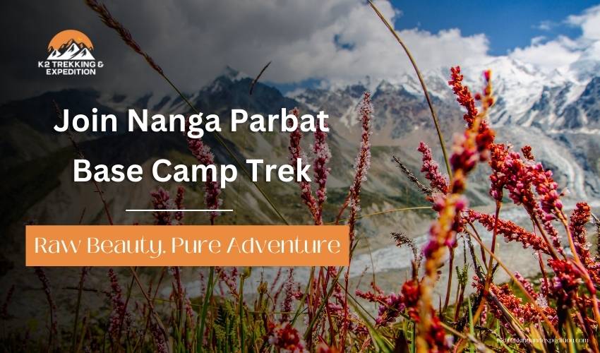 Nanga Parbat Base Camp Trek – Fairy Meadows Adventure in Pakistan