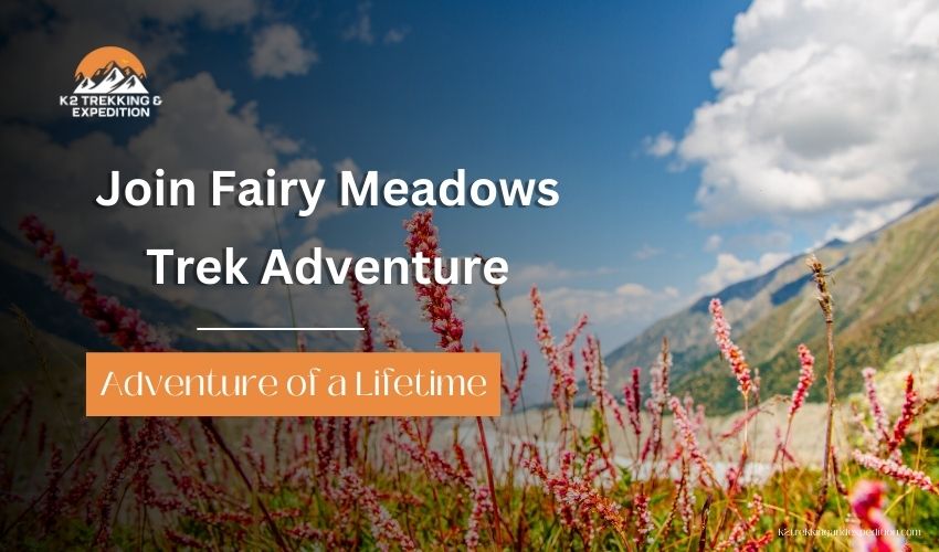 Fairy Meadows Trek Pakistan: Experience Nanga Parbat Base Camp Adventure and Book Your Spot Today