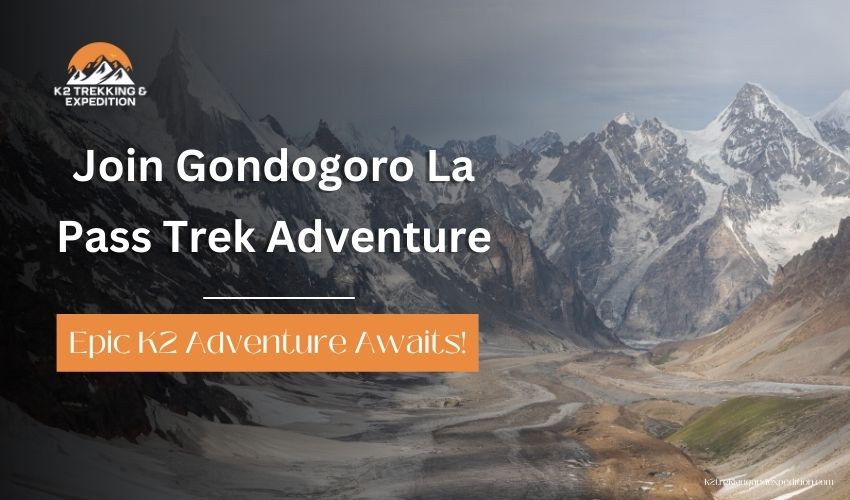 Gondogoro La Pass Trek: K2 Base Camp and Gondogoro La Trek Itinerary in Pakistan Karakoram